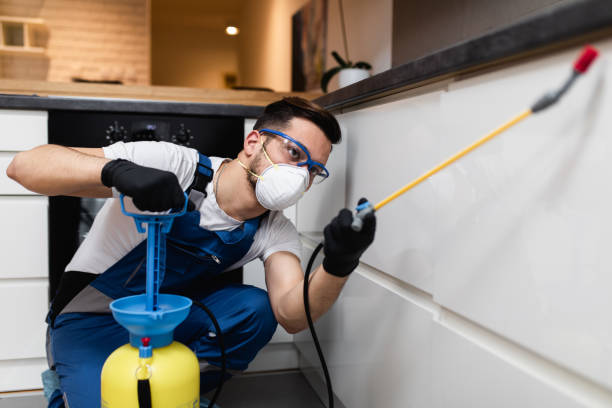 Best Mosquito Control Services  in Horace, ND