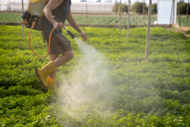 Best Affordable Exterminators  in Horace, ND