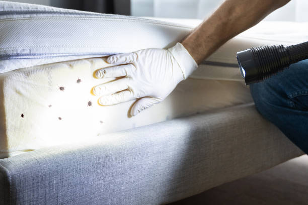 Best Pest Prevention Services  in Horace, ND