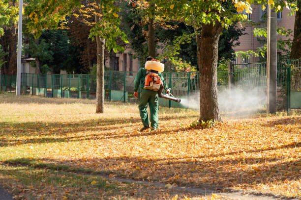 Best Wasp Removal Services  in Horace, ND