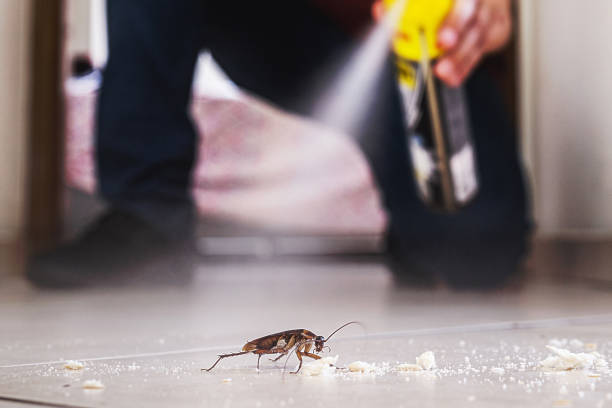 Best Pest Prevention Services  in Horace, ND